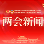 省十四届人大三次会议举行第二次全体会议