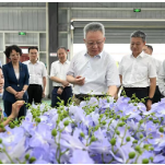 沈晓明围绕补齐重点领域民生短板开展“十五五”规划专题调研