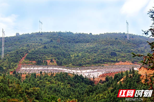 醴陵市浦口镇农村公益性公墓全景.JPG