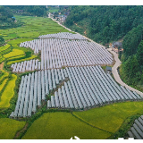 我为耕地保护代言|道德模范代表：守住土地 就有粮仓