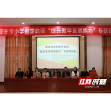 邵东市小学数学教师“提升教学反思能力”专题研讨会圆满结束