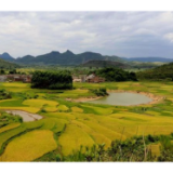 速看！隆回开始对农村乱占耕地建房问题开始整治了！