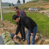 邵阳县白仓镇烤烟种植有序推进