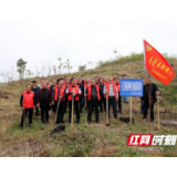 武冈市：“廉政林”建设助力荒山“增绿”群众增收