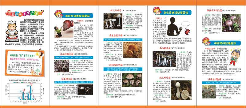 微信图片_20200409135920.jpg