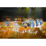 2020年湖南夏季乡村文化旅游节开幕《花瑶喜宴》惊艳首演