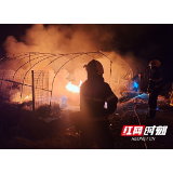 隆回：大棚起火草莓遭殃，这些事项要注意