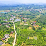 曾秦伟：努力在老工业基地转型升级中走在前列