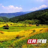 绥宁县被授予省级生态文明建设示范县称号