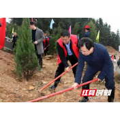 这天，洞口县6万余人参加了这个活动