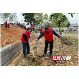 武冈市公路超限检测站积极开展全民义务植树活动