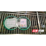 接地气!大祥区打造垃圾分类手机视频彩铃