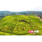 凝心聚力 共谱大祥新篇章 ——邵阳市大祥区各级党组织扎实学史明理 砥砺前行