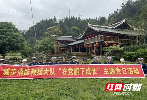 城步消防救援大队多措并举扎实开展党史教育学习