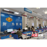 劳动最美丽｜国家税务总局洞口县税务局第一税务分局：全年零差错 优化服务办实事显时效 