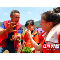 新邵县青少年校外活动中心：农耕体验实践活动让孩子学在路上