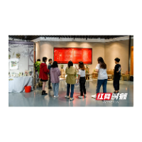 邵阳学院举办“青春心向党，展艺新时代”的2021届毕业设计优秀作品展