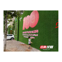 大祥区：打造百米党史“课堂” 构筑“红色风景线”
