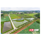 邵阳市大祥区：在高质量发展中打造“美丽窗口”