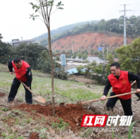 邵阳：交警“志愿红”培植清风“桂花香”