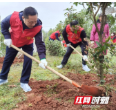 邵阳市退役军人事务局开展义务植树活动