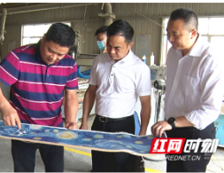 省万名干部联万企“送政策、解难题、优服务”行动邵阳工作组来绥督导
