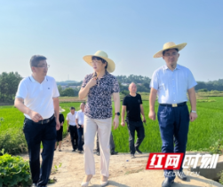 邵阳：尽最大努力把旱情影响降到最低 全力以赴打好防旱抗旱这场硬仗
