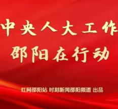 民生实事，“民”说了算——民生实事项目人大代表票决制的“北塔实践”