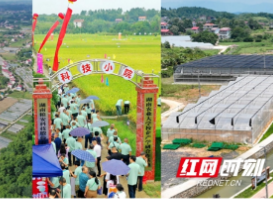 视频 | 打卡邵阳市城郊农业美丽经济带示范基地！