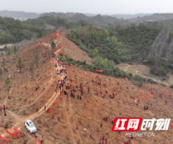 邵阳县：掀起“互联网+植树”新风尚 厚植生态底色