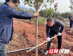 新邵县林业局开展“互联网+全民义务植树”活动