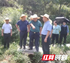 邵阳职院赴武冈市天鹅村走访调研民情