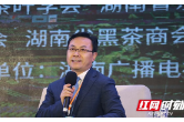 专家汇聚共谈黄金茶产业升级  启迪创新融合金点子