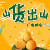 山货出山·黄桃驾到-广电助农第一弹