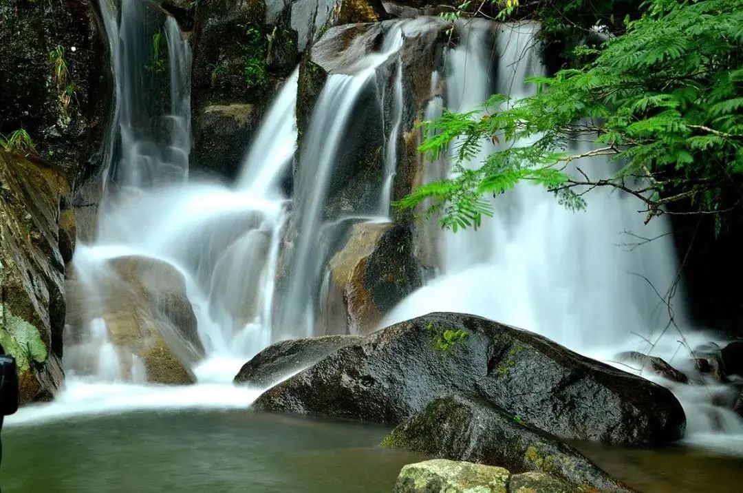 微信图片_20210914115506.jpg 微信图片_20210914115506.jpg