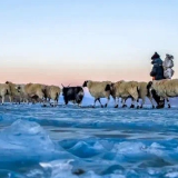 西藏过大年!春节假期在雪域高原开启年俗新体验