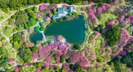 res03_attpic_brief.jpg res03_attpic_brief.jpg