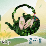 湖南春茶系列报道丨汝城白毛茶——原始次森林的礼物