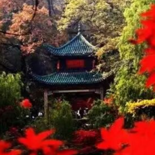 评论丨岳麓山，青春的放歌和诗意的寻访