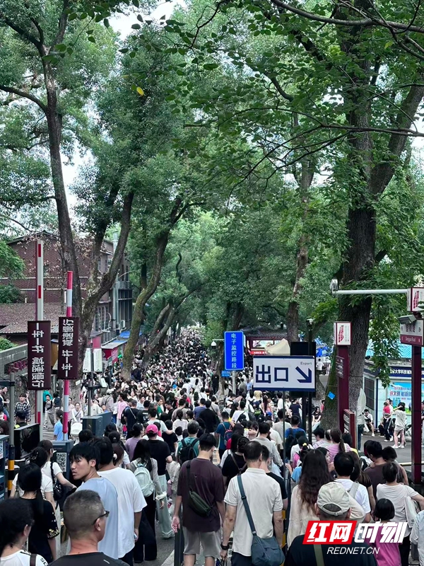 微信图片_20251005002245_158_86.jpg