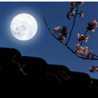 文化中国行丨姚茂椿：心里的月光  