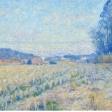 诗画乡村丨朱弦:漫天的星星缀在夜晚的星空