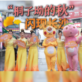 “桐子坳的秋”快闪亮相星城街头 邀长沙市民去赏金色深秋
