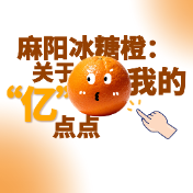 麻阳冰糖橙：关于我的“亿”点点