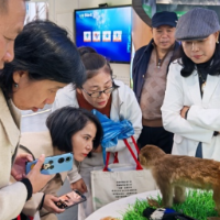 生态文学作家郴州采风 在青山碧水间探寻“蝶变密码”