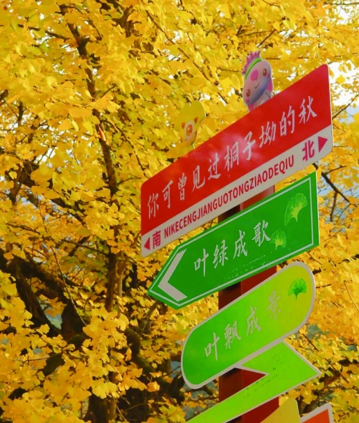 res03_attpic_brief.jpg res03_attpic_brief.jpg