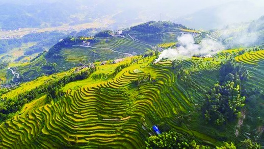 res15_attpic_brief.jpg res15_attpic_brief.jpg