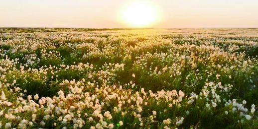 res19_attpic_brief.jpg res19_attpic_brief.jpg