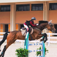 国家级青少年马术赛事首度落户湖南 U系列赛为全运会蓄力