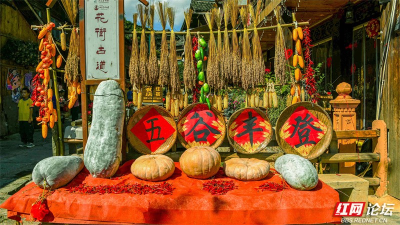 d16c95a06eb34563bc68ec811f821925.jpg d16c95a06eb34563bc68ec811f821925.jpg